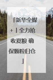 新华全媒+丨全力抢收夏粮 确保颗粒归仓