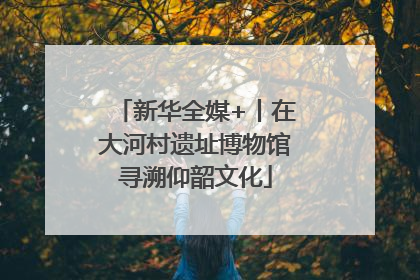 新华全媒+丨在大河村遗址博物馆寻溯仰韶文化