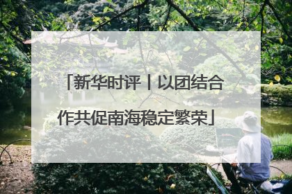 新华时评丨以团结合作共促南海稳定繁荣