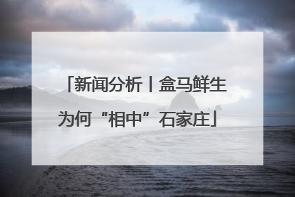新闻分析丨盒马鲜生为何“相中”石家庄