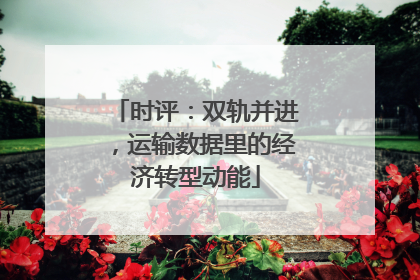 时评：双轨并进，运输数据里的经济转型动能
