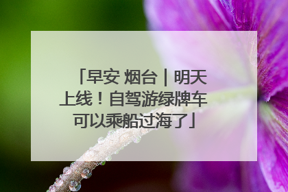 早安 烟台｜明天上线！自驾游绿牌车可以乘船过海了