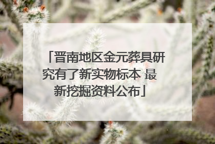 晋南地区金元葬具研究有了新实物标本 最新挖掘资料公布