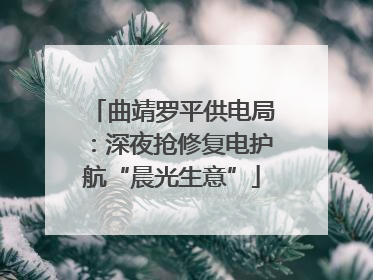 曲靖罗平供电局：深夜抢修复电护航“晨光生意”