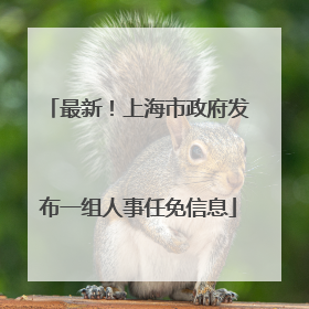 最新！上海市政府发布一组人事任免信息