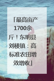 最高亩产1700余斤！东明县刘楼镇：高标准农田增效增收