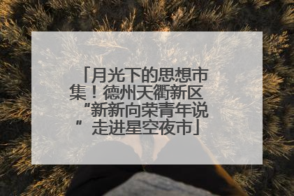 月光下的思想市集！德州天衢新区“新新向荣青年说”走进星空夜市