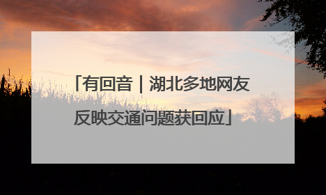 有回音｜湖北多地网友反映交通问题获回应