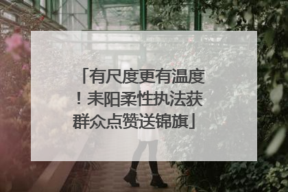 有尺度更有温度！耒阳柔性执法获群众点赞送锦旗