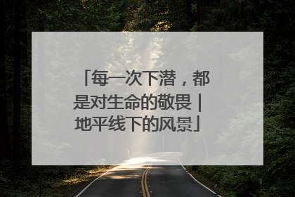 每一次下潜，都是对生命的敬畏｜地平线下的风景