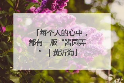 每个人的心中，都有一版“酱园弄”｜黄沂海