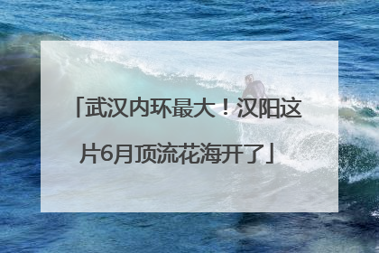武汉内环最大！汉阳这片6月顶流花海开了