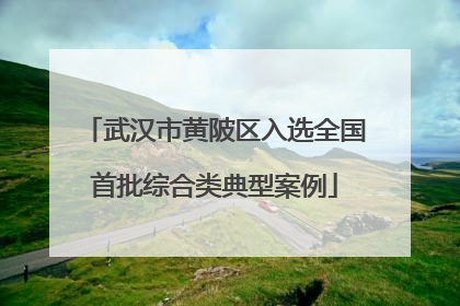 武汉市黄陂区入选全国首批综合类典型案例