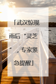 武汉惊现雨后“灵芝”，专家紧急提醒