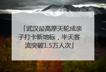 武汉最高摩天轮成亲子打卡新地标，半天客流突破1.5万人次