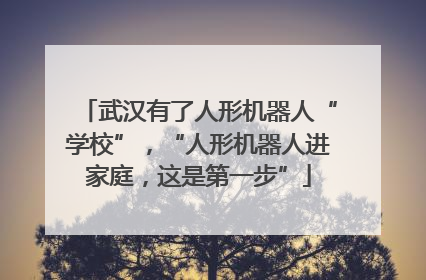 武汉有了人形机器人“学校”，“人形机器人进家庭，这是第一步”
