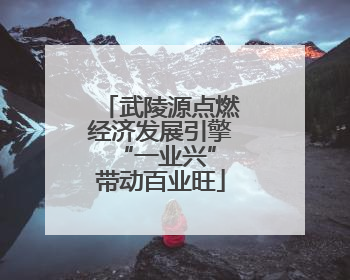 武陵源点燃经济发展引擎 “一业兴”带动百业旺