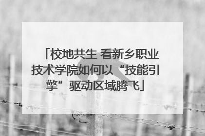 校地共生 看新乡职业技术学院如何以“技能引擎”驱动区域腾飞
