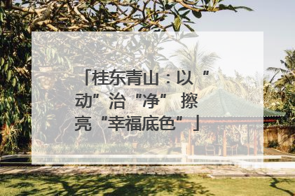 桂东青山：以“动”治“净” 擦亮“幸福底色”