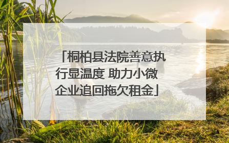 桐柏县法院善意执行显温度 助力小微企业追回拖欠租金