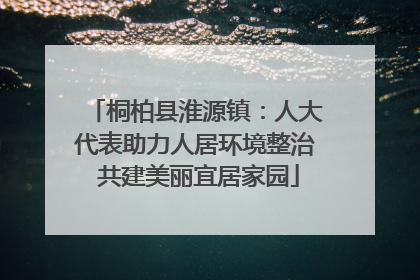 桐柏县淮源镇：人大代表助力人居环境整治 共建美丽宜居家园
