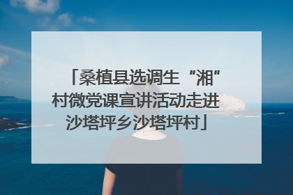 桑植县选调生“湘”村微党课宣讲活动走进沙塔坪乡沙塔坪村