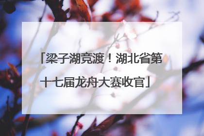梁子湖竞渡！湖北省第十七届龙舟大赛收官