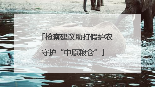 检察建议助打假护农守护“中原粮仓”