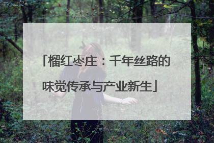 榴红枣庄：千年丝路的味觉传承与产业新生