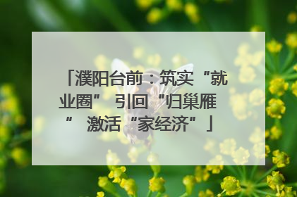 濮阳台前：筑实“就业圈” 引回“归巢雁” 激活“家经济”