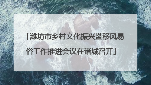 潍坊市乡村文化振兴暨移风易俗工作推进会议在诸城召开
