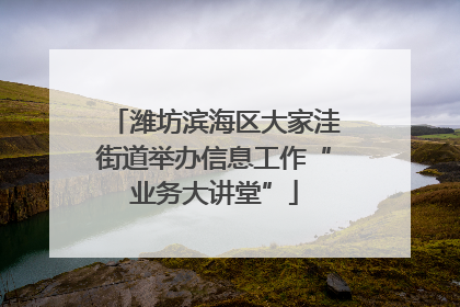 潍坊滨海区大家洼街道举办信息工作“业务大讲堂”