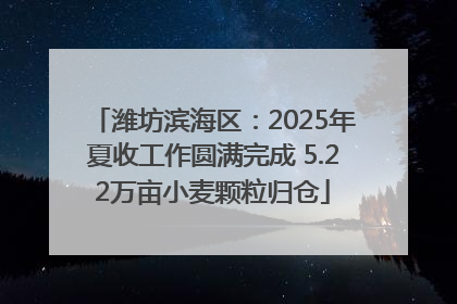 潍坊滨海区：2025年夏收工作圆满完成 5.22万亩小麦颗粒归仓