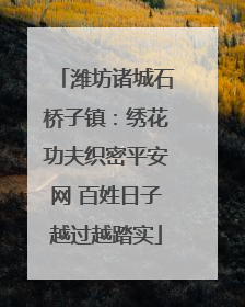 潍坊诸城石桥子镇：绣花功夫织密平安网 百姓日子越过越踏实