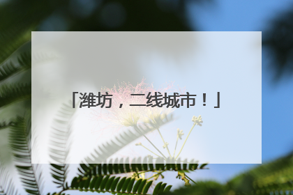 潍坊，二线城市！