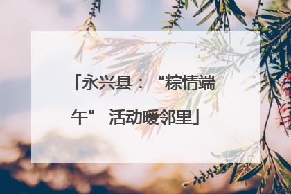 永兴县：“粽情端午” 活动暖邻里