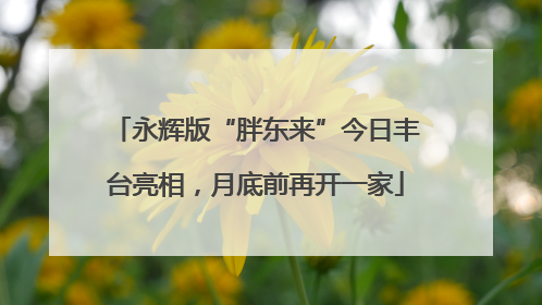 永辉版“胖东来”今日丰台亮相，月底前再开一家