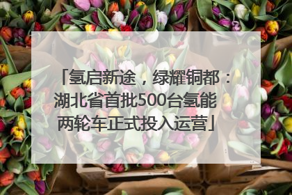 氢启新途，绿耀铜都：湖北省首批500台氢能两轮车正式投入运营