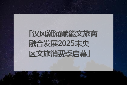 汉风潮涌赋能文旅商融合发展2025未央区文旅消费季启幕