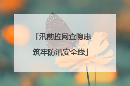 汛前拉网查隐患 筑牢防汛安全线