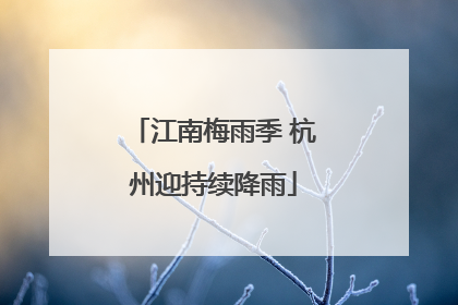 江南梅雨季 杭州迎持续降雨