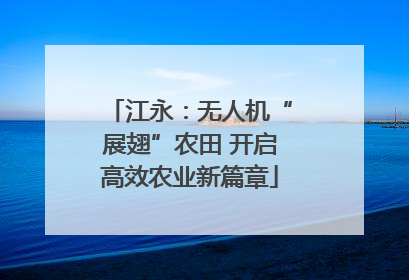 江永：无人机“展翅”农田 开启高效农业新篇章