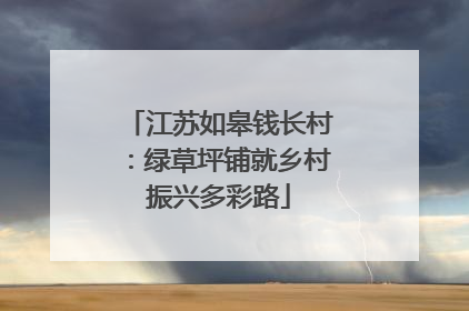 江苏如皋钱长村：绿草坪铺就乡村振兴多彩路