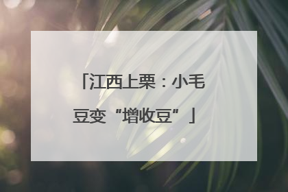 江西上栗：小毛豆变“增收豆”