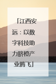 江西安远：以数字科技助力脐橙产业腾飞