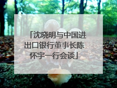 沈晓明与中国进出口银行董事长陈怀宇一行会谈