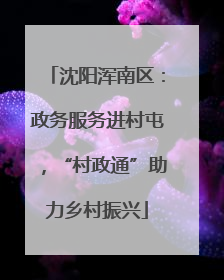沈阳浑南区：政务服务进村屯，“村政通”助力乡村振兴