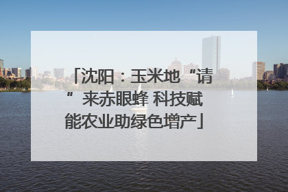沈阳：玉米地“请”来赤眼蜂 科技赋能农业助绿色增产