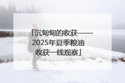 沉甸甸的收获——2025年夏季粮油收获一线观察