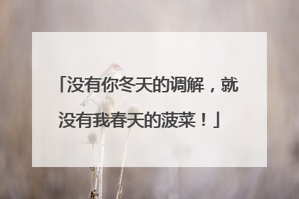 没有你冬天的调解，就没有我春天的菠菜！